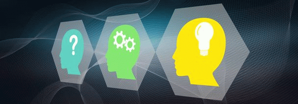 آشنایی با گربه اصیل آنقوره: ۱۹ نکته آموزشی که باید بدانید!